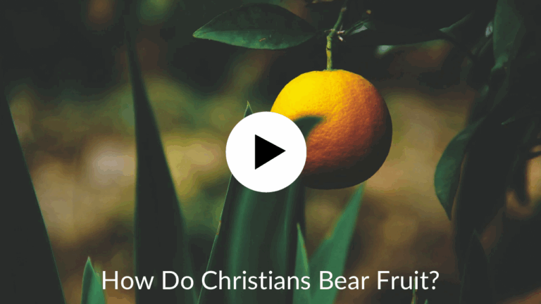 How Do Christians Bear Fruit?
