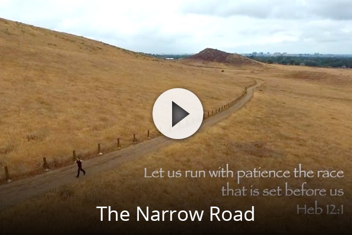 The Narrow Road