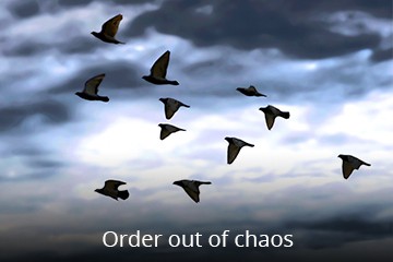 Order Out of Chaos