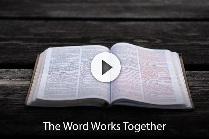 The Word Works Together