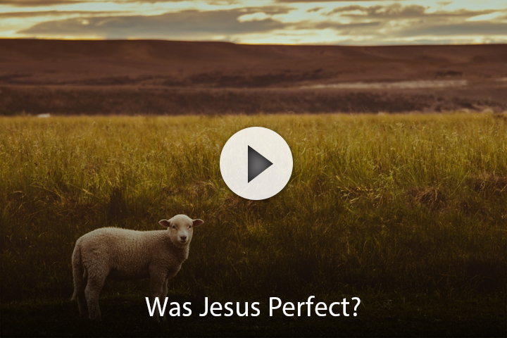 Was Jesus Perfect?