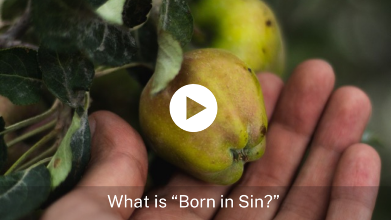 What is “Born In Sin?”